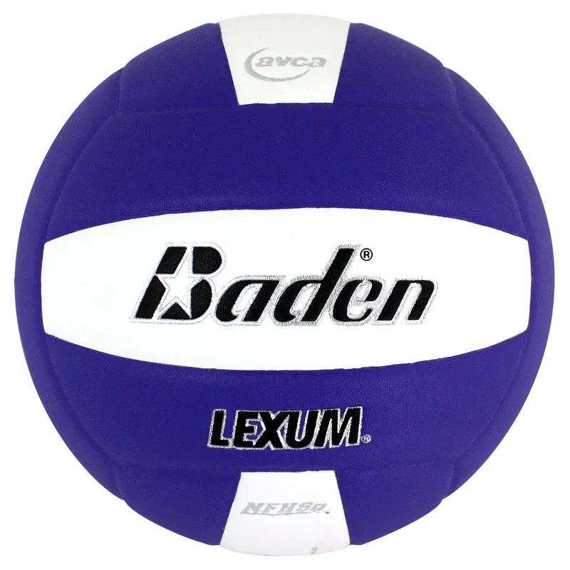 Baden Microfiber Volleyball VX450C