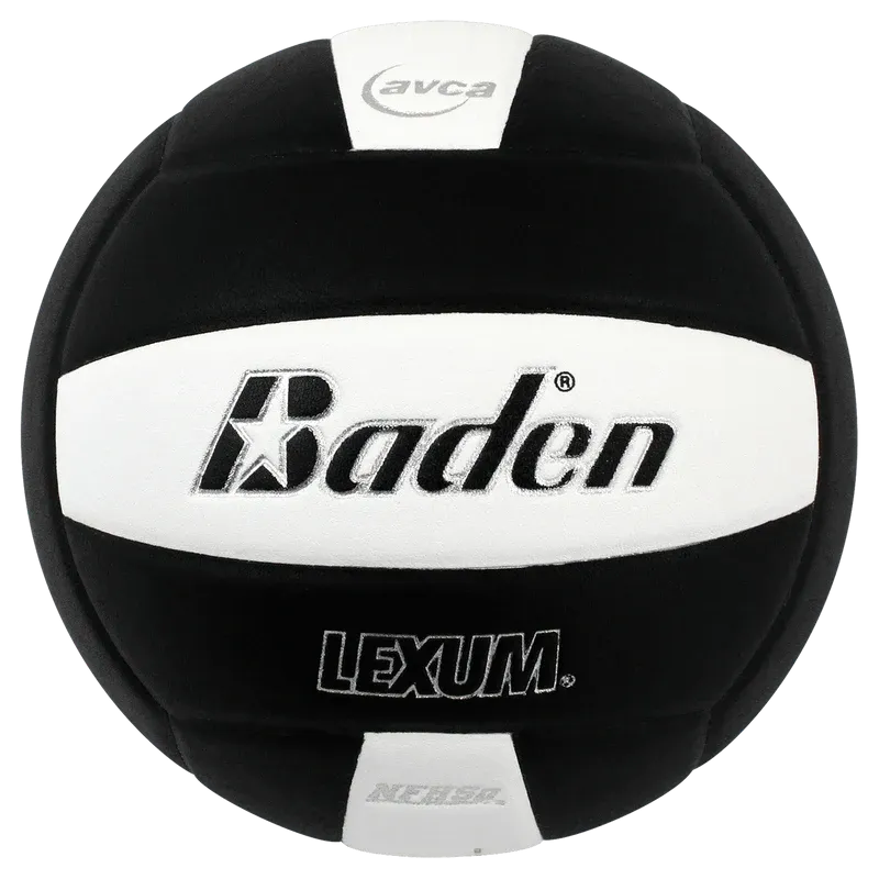 Baden Microfiber Volleyball VX450C