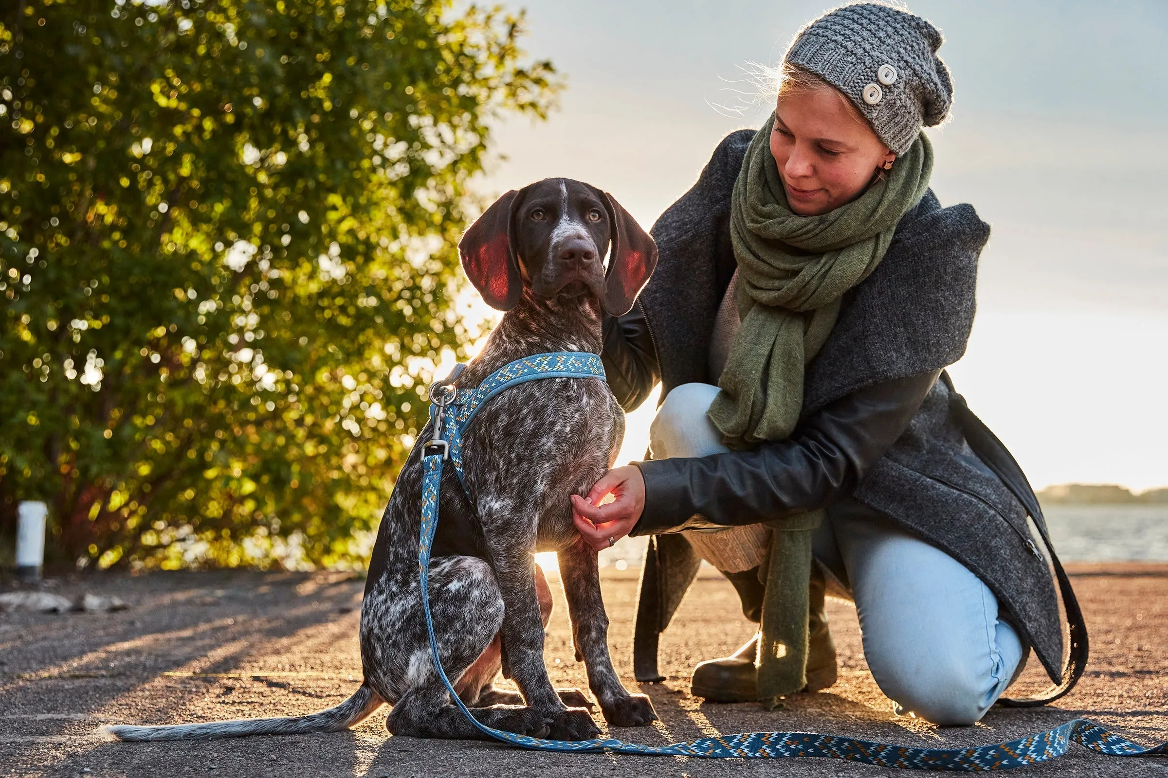 Hurtta Dog Standard Leash: Razzle Dazzle, Blackberry