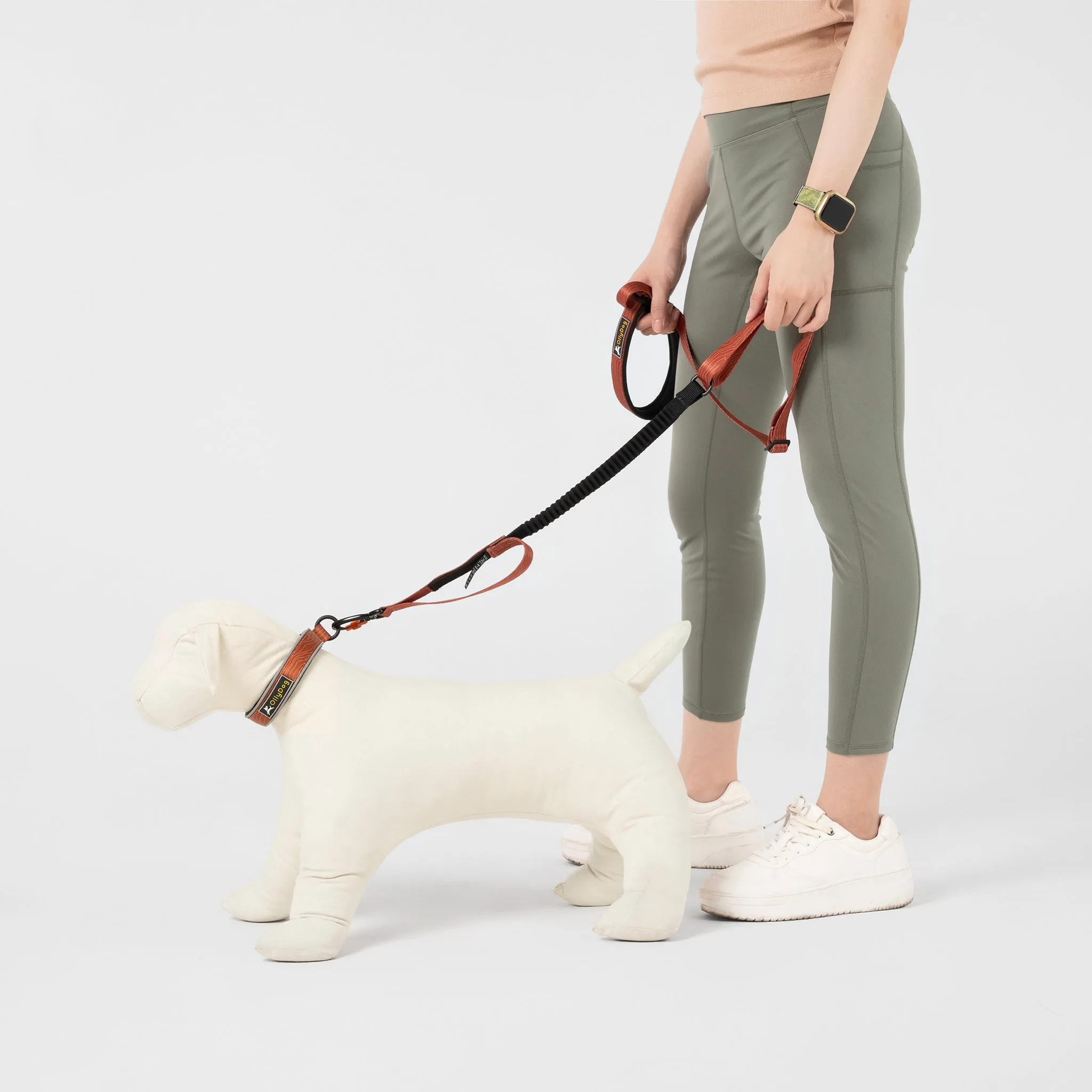 NEW Flagstaff Adjustable Spring Leash | Adjustable Bungee Leash