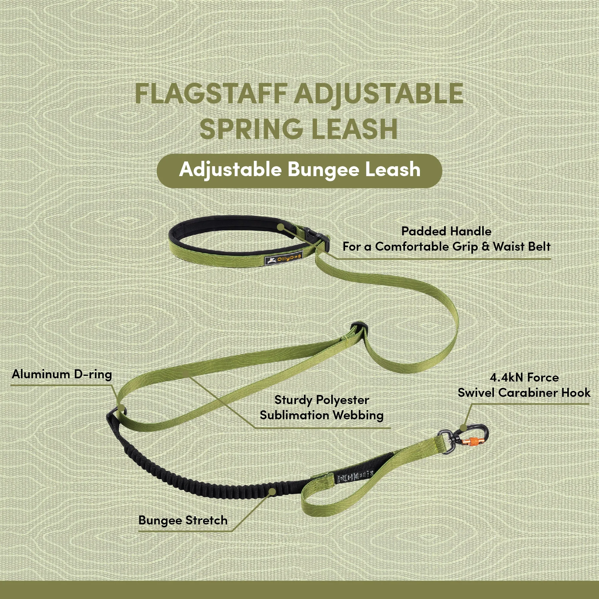 NEW Flagstaff Adjustable Spring Leash | Adjustable Bungee Leash