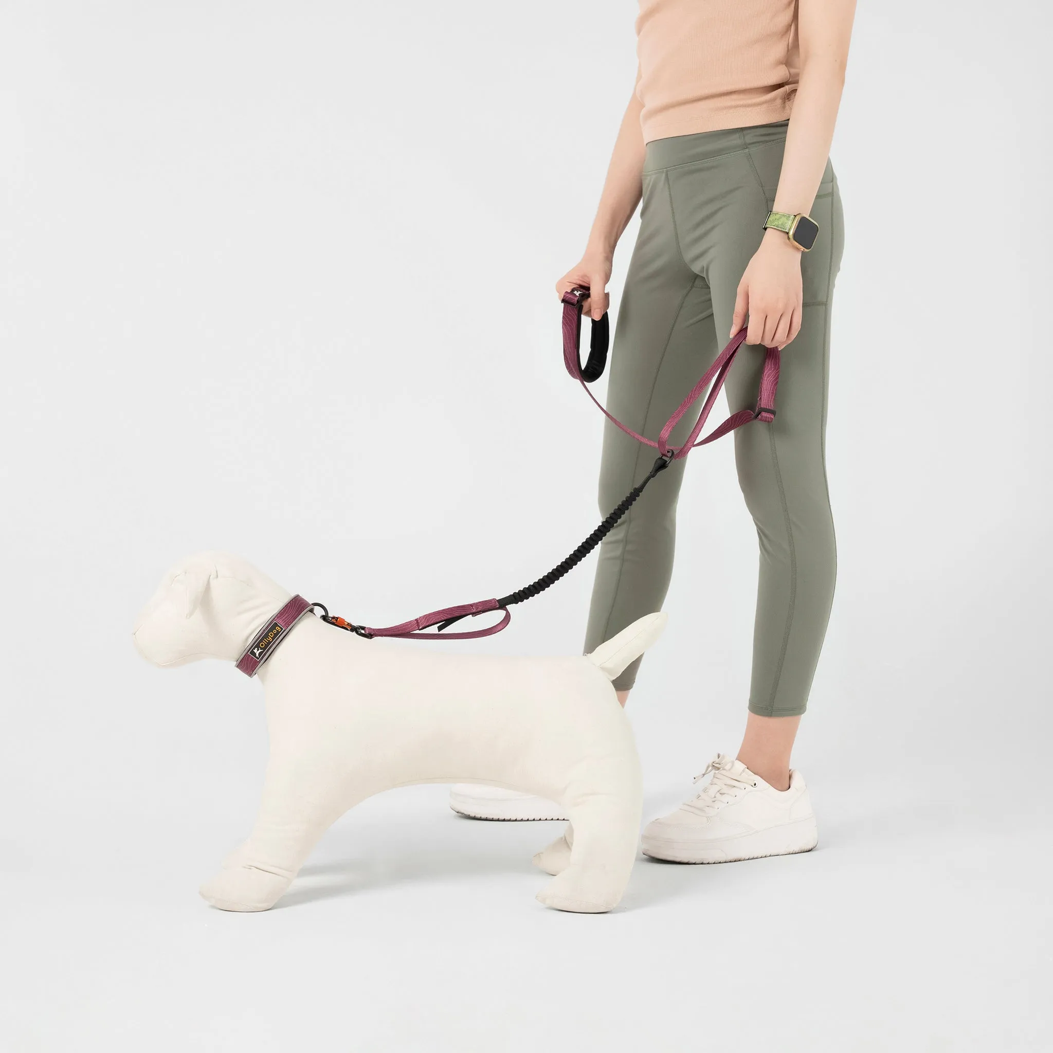 NEW Flagstaff Adjustable Spring Leash | Adjustable Bungee Leash