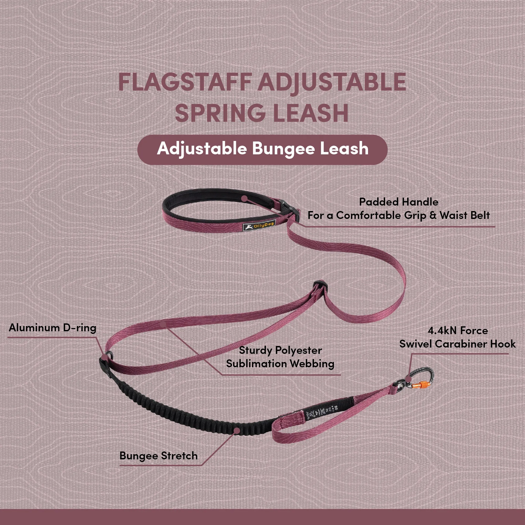 NEW Flagstaff Adjustable Spring Leash | Adjustable Bungee Leash