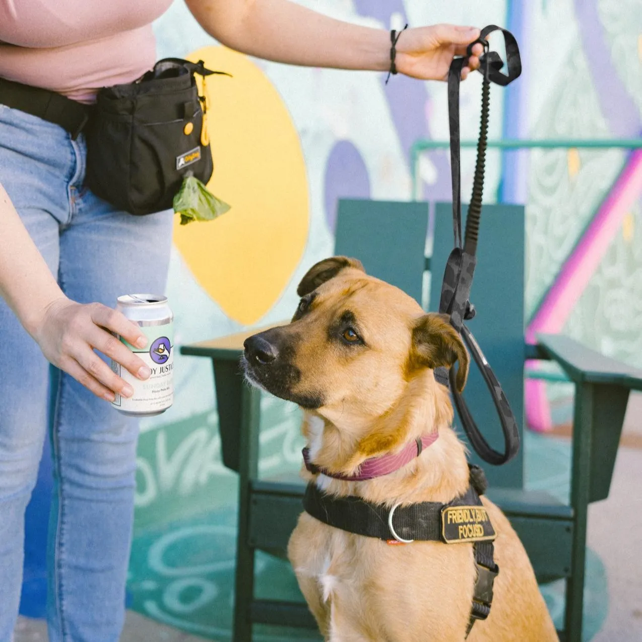 NEW Flagstaff Adjustable Spring Leash | Adjustable Bungee Leash