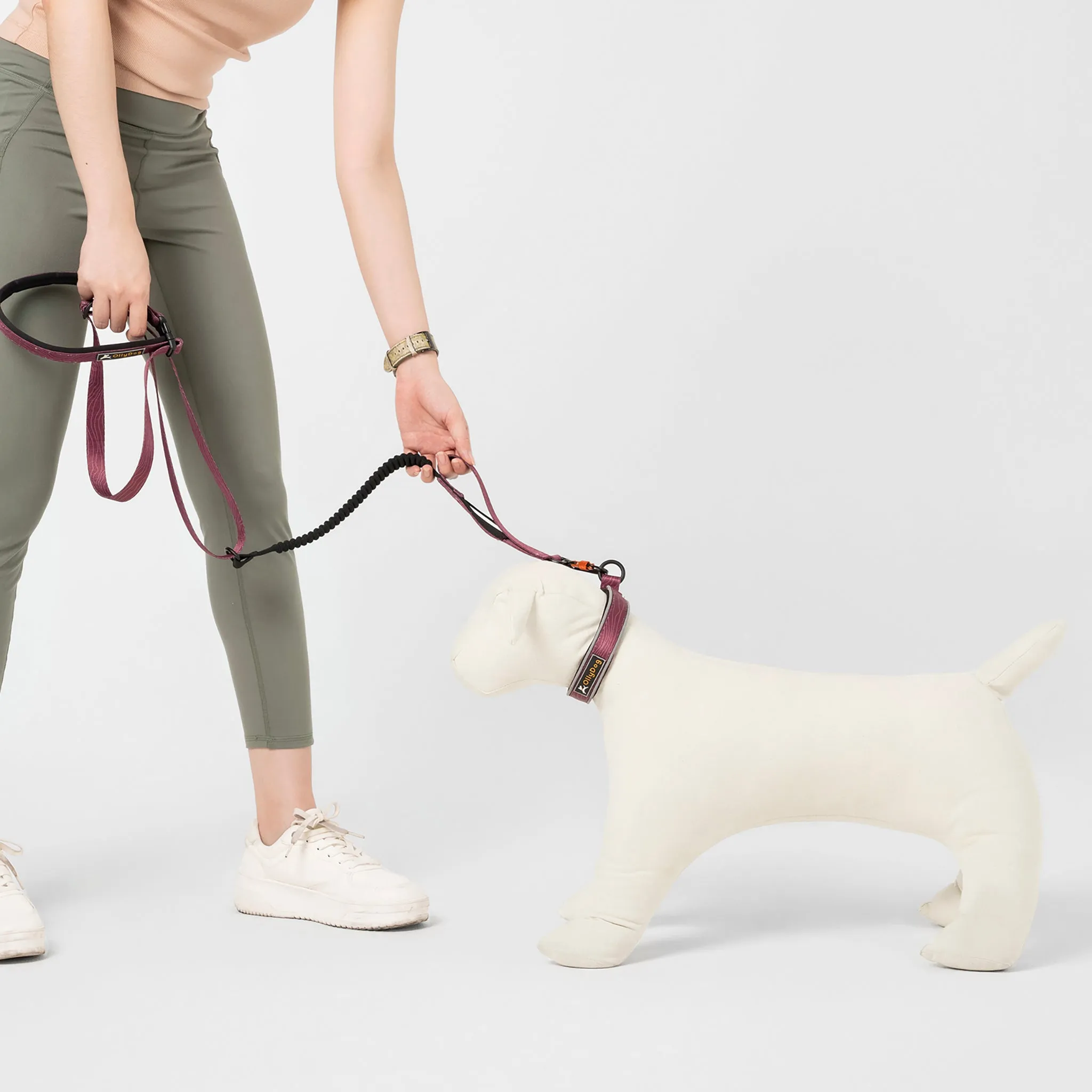 NEW Flagstaff Adjustable Spring Leash | Adjustable Bungee Leash