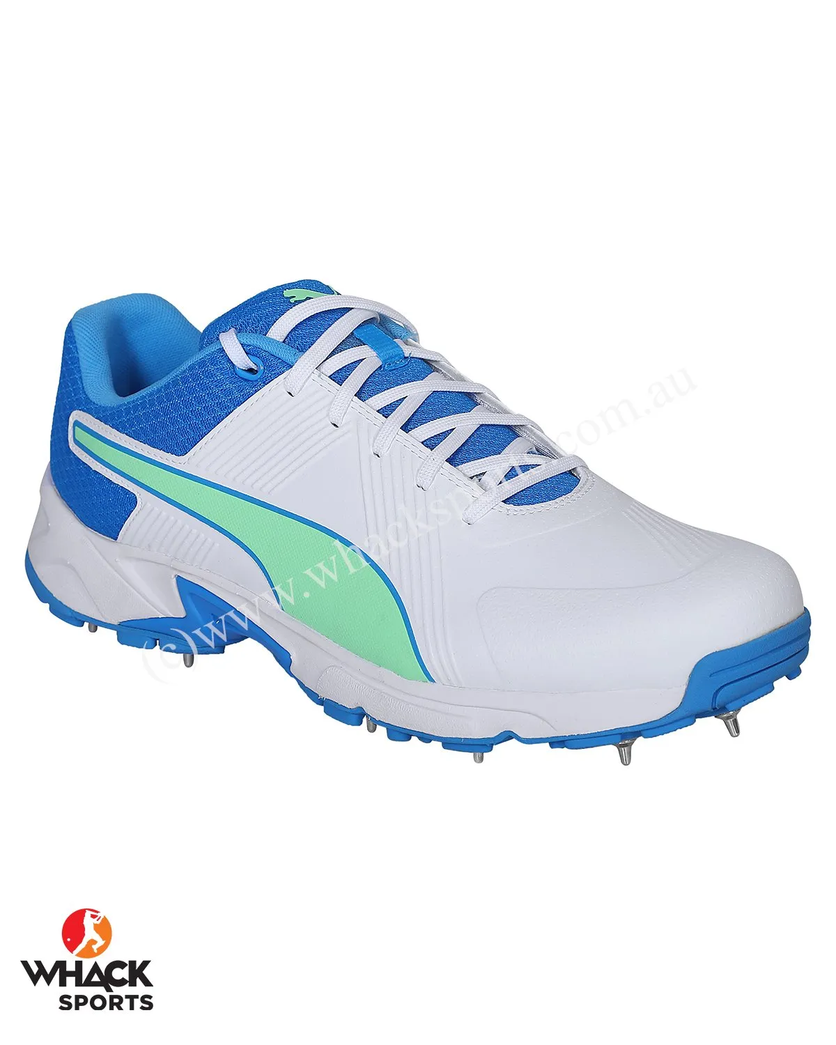 Puma 19.2 Cricket Shoes - Steel Spikes - White Nrgy Blue Green