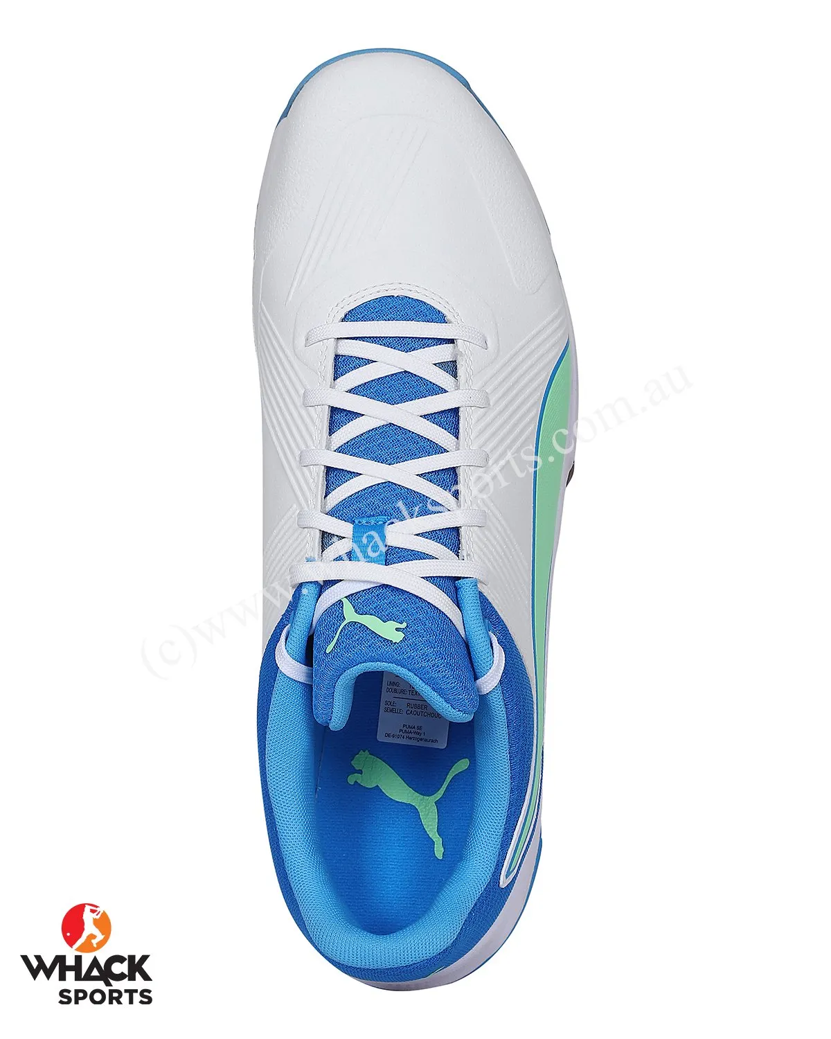 Puma 19.2 Cricket Shoes - Steel Spikes - White Nrgy Blue Green